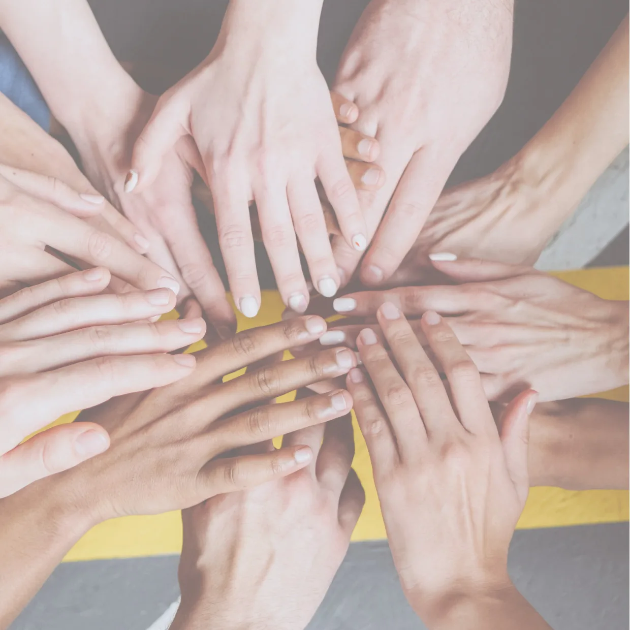 organisatieontwikkeling